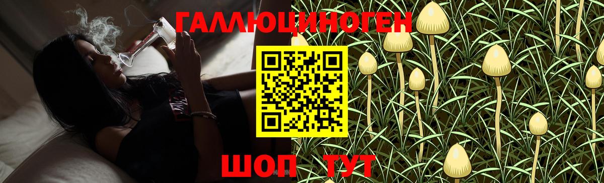 Псилоцибиновые грибы GOLDEN TEACHER  Вход с VPN  Надым  сколько стоит  Псилоцибиновые грибы GOLDEN TEACHER 